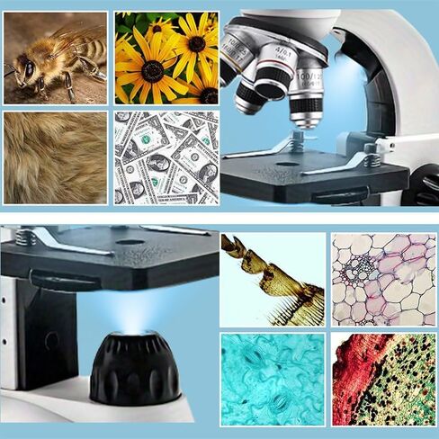Adult Student Compound Binocular Microscope, Magnification 40X-5000X, Upgraded Dual Upper and Lower Light Sources, Suitable for Beginners, Suitable for School and Home Education in Kuwait