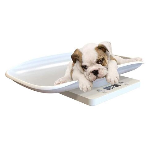 22lbs Accurate Digital Multi-Function Scale, for Baby, Pet, Small Animals & Food Weight Measurement in Kuwait