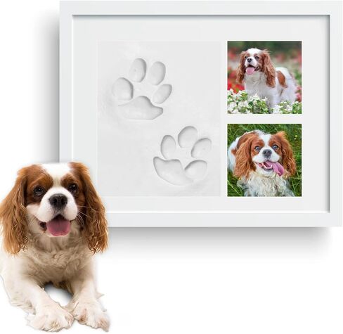 Vila Paw Print Keepsake Photo Frame Kit, Personalized Pet Memory Souvenir, 5" x 7" Clay, 11" x 9" White Frame, 2 Snapshot Slots, White Plastic Frame with Plexiglass, Cardboard Backing, 1 Set per Pack  in Kuwait