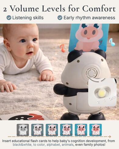 Cuddobaby Dancing Panda Musical Toy| Tummy Time 0-6M, Crawling 6-12M | High Contrast, Light-Up Changes, Hands-Free Flash Card Stand for Newborns, Infants, Drop-Proof in Kuwait