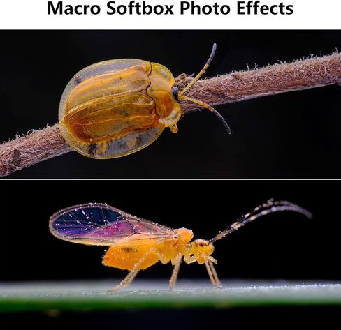 Macro Photography Flash Diffuser Softbox Kit, Portable Speedlite Diffuser for Jewelry, Insect & Close-Up Product Photography, Compatible with Macro and Zoom Lenses in Kuwait