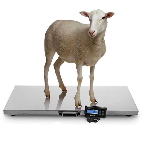 Multifunctional LCD Scale for Newborns Cooking and Household Use 1g Sensitivity 15kg Auto Shut Off Battery Operated Scale in Kuwait