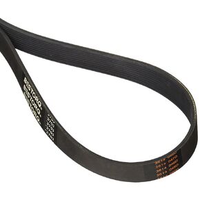 BESTORQ 290J8 Rubber V-Belt, PJ V-Ribbed, 8 Ribs, 29" Length x 0.744" Width x 0.17" Height, Pack of 2