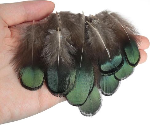 LUORNG 50PCS Copper Green Feather Natural Craft Feathers 4-8cm/1.57-3.15in for DIY Earrings Dreamcatchers Clothing Hats Necklaces Crafts Gift Box Decorations in Saudi Arabia