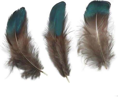 LUORNG 50PCS Copper Green Feather Natural Craft Feathers 4-8cm/1.57-3.15in for DIY Earrings Dreamcatchers Clothing Hats Necklaces Crafts Gift Box Decorations in Saudi Arabia