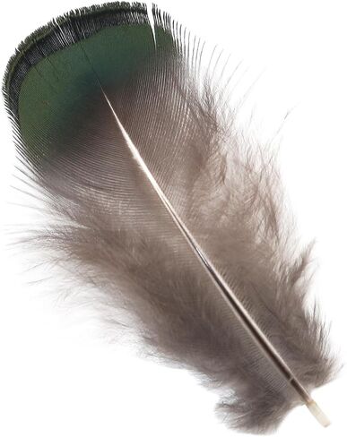 LUORNG 50PCS Copper Green Feather Natural Craft Feathers 4-8cm/1.57-3.15in for DIY Earrings Dreamcatchers Clothing Hats Necklaces Crafts Gift Box Decorations in Saudi Arabia