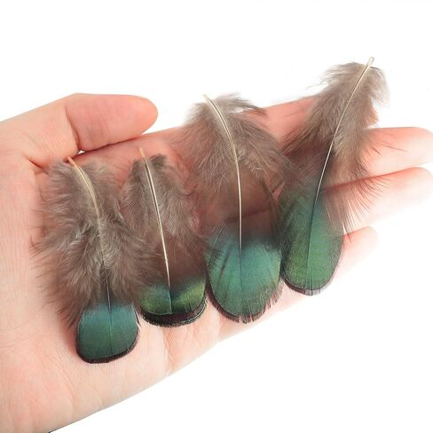 LUORNG 50PCS Copper Green Feather Natural Craft Feathers 4-8cm/1.57-3.15in for DIY Earrings Dreamcatchers Clothing Hats Necklaces Crafts Gift Box Decorations in Saudi Arabia