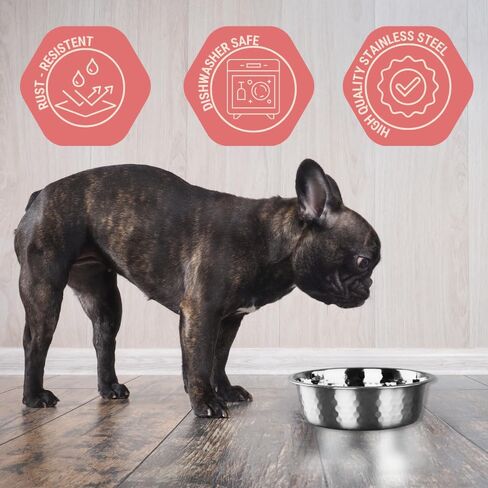 2pcs Stainless Steel Dog Bowls, Hammered Thickened Metal Dog Bowl Feeding or Water Bowls for Small/Medium/Large Sized Dogs & Cats Stackable Metal Cat Bowl Dishwasher Safe, Gold in Kuwait