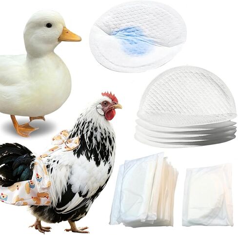 Chicken Diaper Pads - 20-Count Pack with Individual Wrapping | Maximum Absorbency & Skin-Friendly for Indoor/Outdoor Use in Kuwait