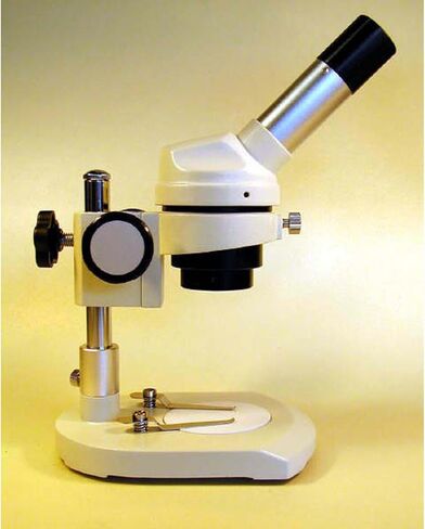 AmScope K104-X Elementary Stereo/Dissecting Microscope, 5x and 10x Widefield Eyepiece, 10x-20x Magnification, Reversible Black/White Stage Plate, Heavy-Duty Frame in Kuwait