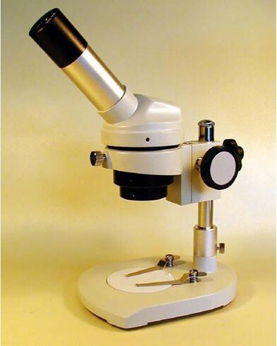 AmScope K104-X Elementary Stereo/Dissecting Microscope, 5x and 10x Widefield Eyepiece, 10x-20x Magnification, Reversible Black/White Stage Plate, Heavy-Duty Frame in Kuwait
