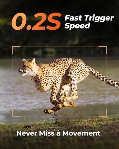 Loatos Trail Camera, AI Animal Detection Game Camera, Built-in SIM Card 4G LET Cellular Trail Camera Unlimited Data Plan 2k HD Live Game Cameras with Night Vision Motion Activated Waterproof in Kuwait