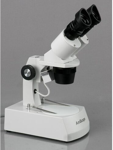 AmScope SE305R-AX Forward-Mounted Binocular Stereo Microscope, WF5x and WF10x Eyepieces, 5X/10X/15X/30X Magnification, 1X and 3X Objectives, Upper and Lower Halogen Light Source, Arm Stand, 120V in Kuwait