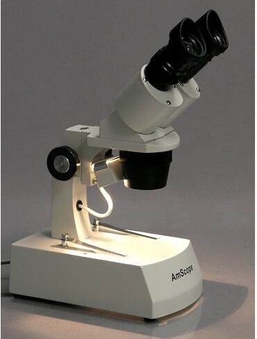 AmScope SE305R-AX Forward-Mounted Binocular Stereo Microscope, WF5x and WF10x Eyepieces, 5X/10X/15X/30X Magnification, 1X and 3X Objectives, Upper and Lower Halogen Light Source, Arm Stand, 120V in Kuwait