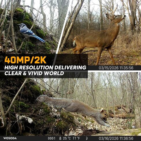 WOSODA 3 Pack Trail Cameras with Night Vision Motion Activated Waterproof,40MP Game Camera,2K HD Trail Cam with 32GB SD Card for Wildlife Monitoring,Outdoor Scouting & Security in Saudi Arabia