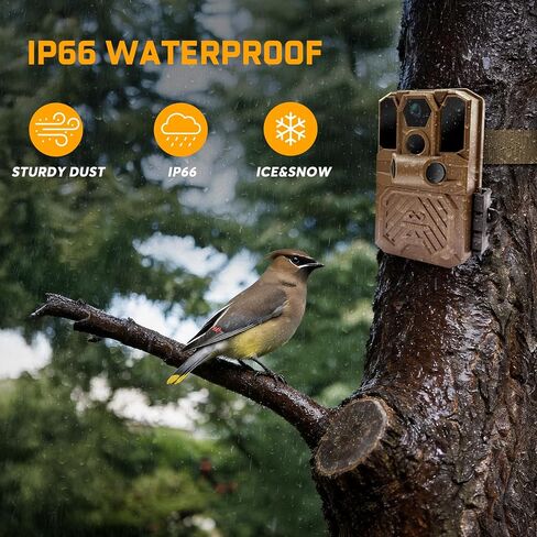 WOSODA 3 Pack Trail Cameras with Night Vision Motion Activated Waterproof,40MP Game Camera,2K HD Trail Cam with 32GB SD Card for Wildlife Monitoring,Outdoor Scouting & Security in Saudi Arabia