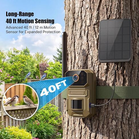 ClipBlur 4G LTE Solar Trail Camera, 1080P Wireless Outdoor, Night Vision | 6000mAh battery, SIM included, IP66 waterproof trail camera for wildlife, bird watching, farms and hunting, No WiFi needed in Kuwait