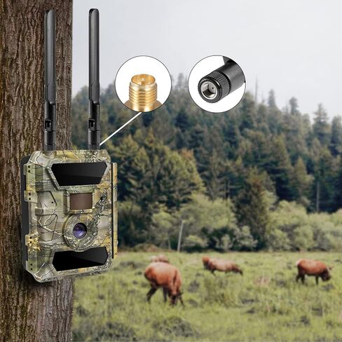8dBi RP-SMA Male 3G 4G LTE Cellular Trail Camera Long Range Antenna Compatible with Spypoint Link Micro Link Dark Link S Link EVO Tactacam Stealth Cam Camera Cellular Trail Camera (Pack of 2) in Kuwait