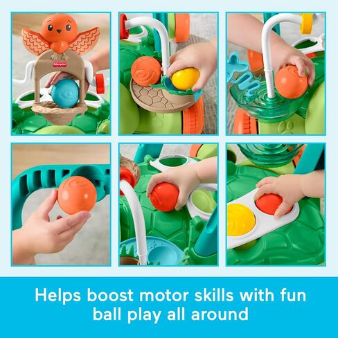 Fisher-Price Moves with You Turtle Walker Baby Push Toy | Non-Electronic, Sensory Busy Activities, 5 Balls, Infants Ages 6+ Months in Kuwait
