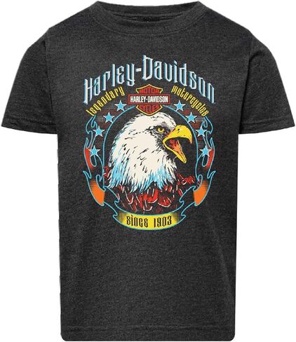 Harley-Davidson Boy's Glare Short Sleeve Crew-Neck Toddler Tee, Vintage Smoke in Kuwait