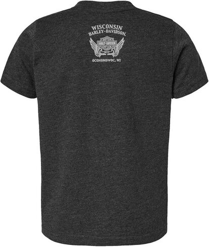 Harley-Davidson Boy's Glare Short Sleeve Crew-Neck Toddler Tee, Vintage Smoke in Kuwait