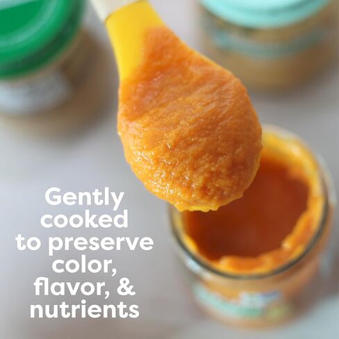 Beech‑Nut Organics Banana, Strawberry & Blueberry Baby Food Jars, Stage 2 for 6+ Months, USDA Certified Organic, Non‑GMO, No Added Sweeteners, 4 oz Glass Baby Food Jars, 10 ct in Kuwait