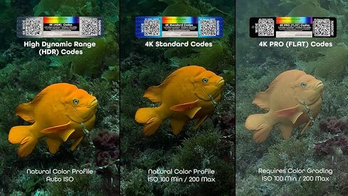 Underwater Video Guide (3-Card Package) with QR Code Camera Settings for use with GoPro HERO9, HERO10, HERO11, HERO12, HERO13, and Mission Cameras. in Kuwait
