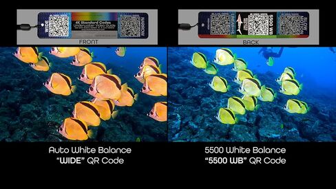Underwater Video Guide (3-Card Package) with QR Code Camera Settings for use with GoPro HERO9, HERO10, HERO11, HERO12, HERO13, and Mission Cameras. in Kuwait