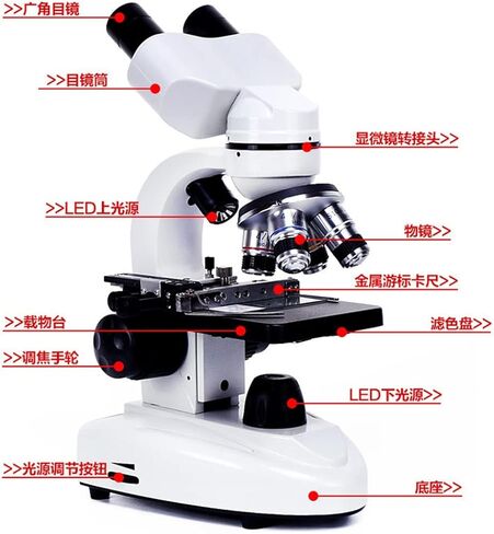 Eye Protection Binocular Biological Microscope 40X-2500X Experimental 360 ° Rotatable in Kuwait