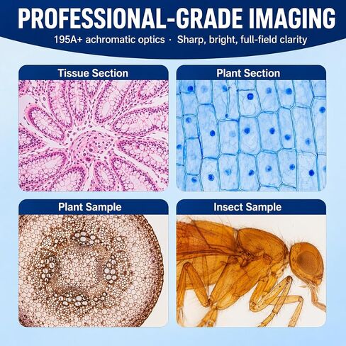 Compound Binocular Microscope for Adults, Professionals & Kids, 40X-1600X Magnification with LED Illumination, Mechanical Stage, WF10x & WF16x Eyepieces，Suitable for Schools Home Labs Educational in Kuwait