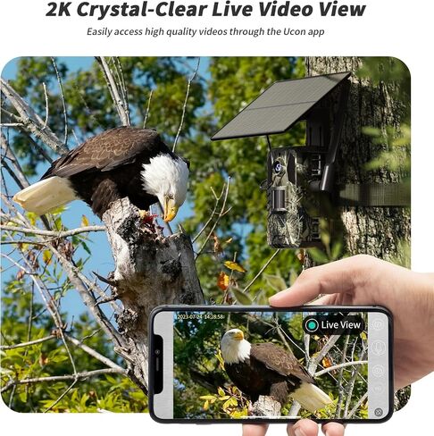 SEHMUA Trail Camera 2 Packs, AI Animal Detection Game Camera Built-in SIM Card 4G LTE Cellular Trail Cameras with Night Vision Motion Activated Waterproof IP66 with Unlimited Data Plan 2K Live View in Kuwait