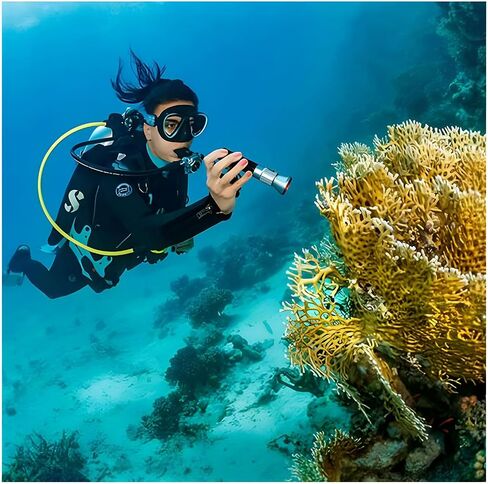 SeaLife Sea Dragon 1600 Diving Light, High-Intensity Long-Range Beam, 1600 Lumen LED Diving Light with Ultra-Compact Design, Waterproof to 330’/100m (Dive Light Only) in Kuwait
