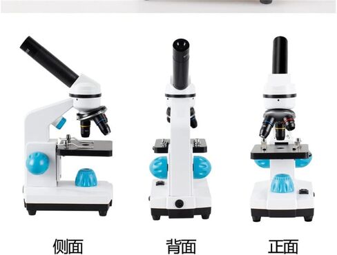 2000x Microscope Portable Biological High-Power Scientific Experiment Gift in Kuwait