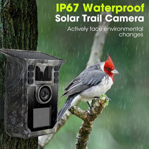 Trail Camera 2 Pack 4K 64MP Solar Game Camera with 5000mAh Forever Power, 64GB Memory Card and Ip67 Waterproof Angle Night Vision for Wildlife Deer Outdoor Trail Cam, Monitoring Trail Cameras in Kuwait
