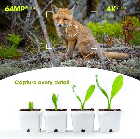 Trail Camera 2 Pack 4K 64MP Solar Game Camera with 5000mAh Forever Power, 64GB Memory Card and Ip67 Waterproof Angle Night Vision for Wildlife Deer Outdoor Trail Cam, Monitoring Trail Cameras in Kuwait