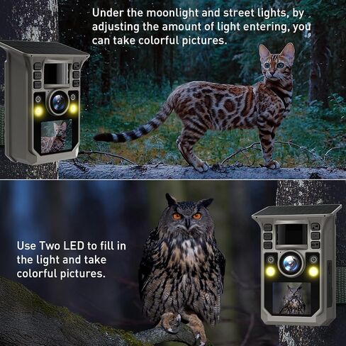 Trail Camera Full Color Night Vision 4K 64MP Solar WiFi Game Camera 0.1s Trigger Speed 130° Motion Detection IP67 Rechargeable Trail Cam with 7500mAh Battery for Wildlife Monitoring Backyard Security in Kuwait
