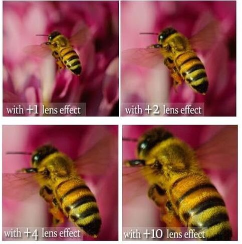 4Pcs +1/+2/+4/+10 Close Up Macro Lens Kit for Nikon D5300 D3300 D5500 (52mm Compatible) in Kuwait