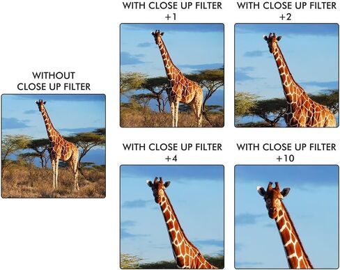 4Pcs +1/+2/+4/+10 Close Up Macro Lens Kit for Nikon D5300 D3300 D5500 (52mm Compatible) in Kuwait