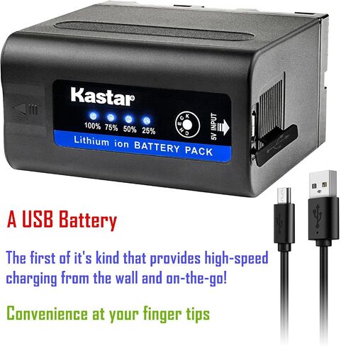 Kastar 3 Pack Battery and LCD Dual Fast Charger for Sony NP-F980 Pro NP-F970 LED Video Light CN-126 CN-160 CN-216 CN-304 VL600 YN300 and Other LED Light in Kuwait
