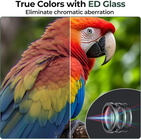 Welspo 10x42 ED Binoculars for Adults | Stable Phone Adapter included, Waterproof, Fogproof, for Bird Watching, Hunting, Hiking and Football Games in Kuwait