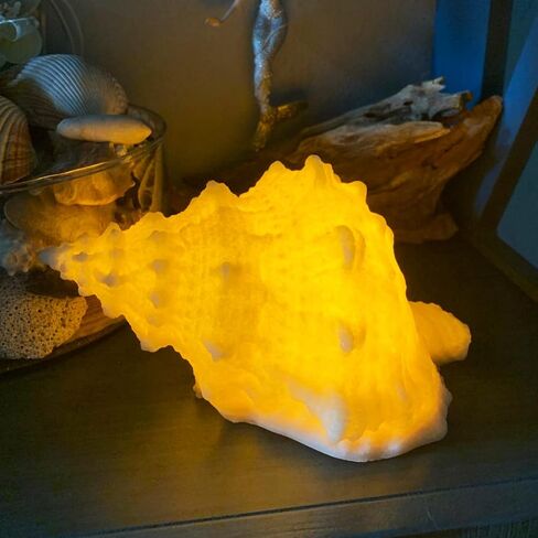 Conch Shell Night Light-Battery Powered LED Night Light for Kids Room, Auto Off Timer, Adults Bedroom Decor Nautical Lighting, Beach Themed Lamp Suitable for Baby Nursery, Home Ocean-Nightstand Decor in Kuwait