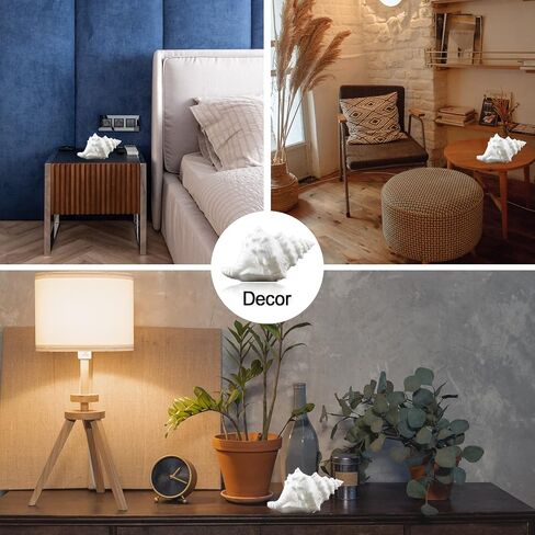 Conch Shell Night Light-Battery Powered LED Night Light for Kids Room, Auto Off Timer, Adults Bedroom Decor Nautical Lighting, Beach Themed Lamp Suitable for Baby Nursery, Home Ocean-Nightstand Decor in Kuwait