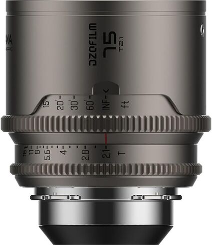 DZOFilm Arcana Anamorphic (45mm) in Kuwait