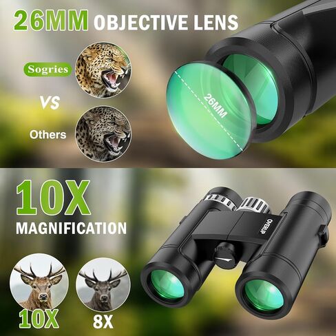Compact Binoculars for Adults 10x26 High Powered, Pocket Binoculars for Bird Watching, Waterproof BAK4 FMC, Lightweight One-Handed Use in Kuwait