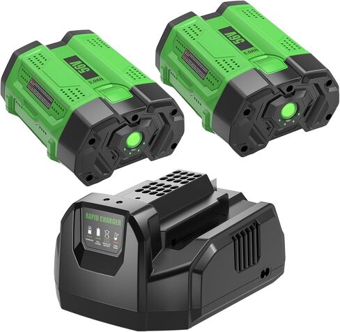 2 Pack 5000mAh Replacement for EGO 56V Battery Compatible with EGO Battery | Power+ Tools BA2800 BA4200 BA4200T CS1604 CS1804 CS1403 HT2400 LB6504 LB5804 LB6500 LB4800 PH1400 Tools(Green) in Kuwait