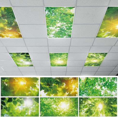 6 Pcs Fluorescent Light Covers with 60 Magnets Decorative for Classroom Ceiling Light 4 x 2 Feet Magnetic Lights Covers Filter Easy Install for Office Hospitals & Home Drop Ceiling Supplies (Positive) in Kuwait