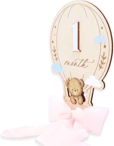 Baby Monthly Milestone Markers, 1–12 Month Milestone Signs, Newborn Photo Props, Baby Growth Photo Cards, Nursery Room Decor (Pink D16) in Kuwait