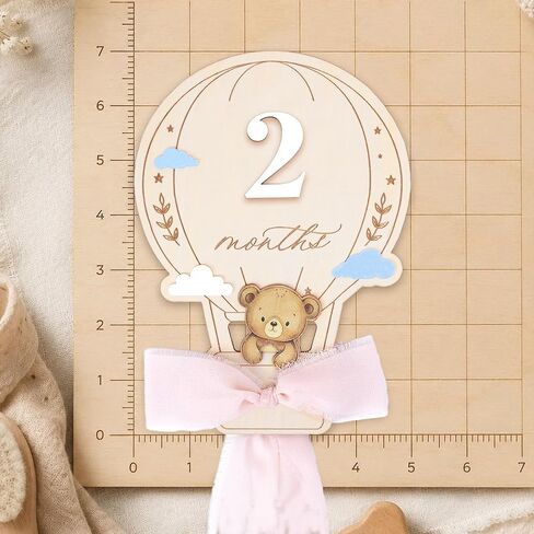 Baby Monthly Milestone Markers, 1–12 Month Milestone Signs, Newborn Photo Props, Baby Growth Photo Cards, Nursery Room Decor (Pink D16) in Kuwait