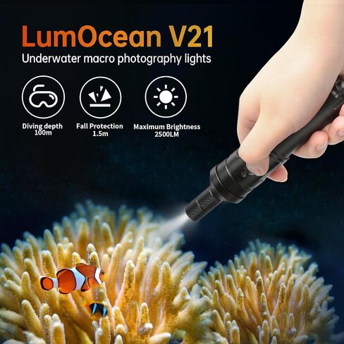 V21 Super Bright 2500 Lumen Dive Light - IP68 Waterproof Underwater Flashlight with 3 Adjustable Beams (Spot/Flood/Wide), for Scuba Diving, Night Diving, Underwater Photography & Macro Video in Kuwait