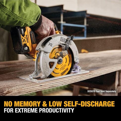 DEWALT 20V MAX 5 Ah Lithium Ion Battery 2-Pack (DCB205-2) in Saudi Arabia
